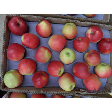 Exportación de manzana fresca de Gala de China